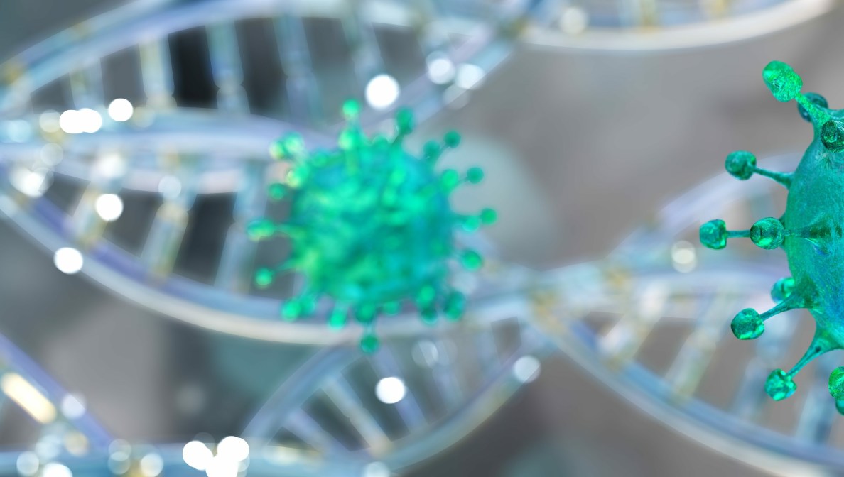 Biomarker