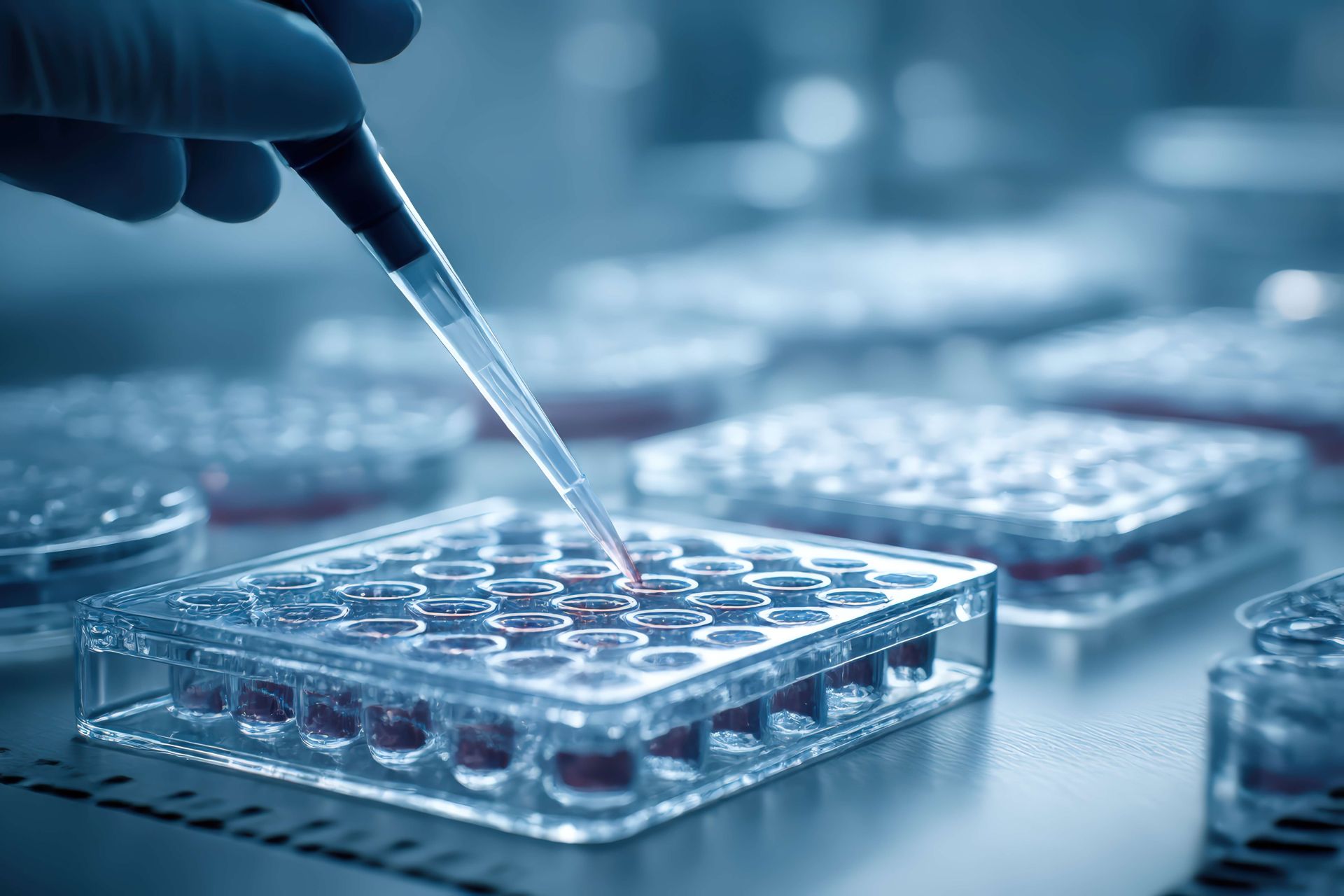 Szene im Labor, Pipette und Proben
