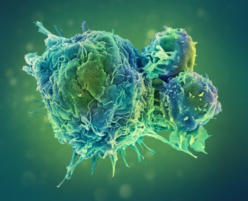 Oncology