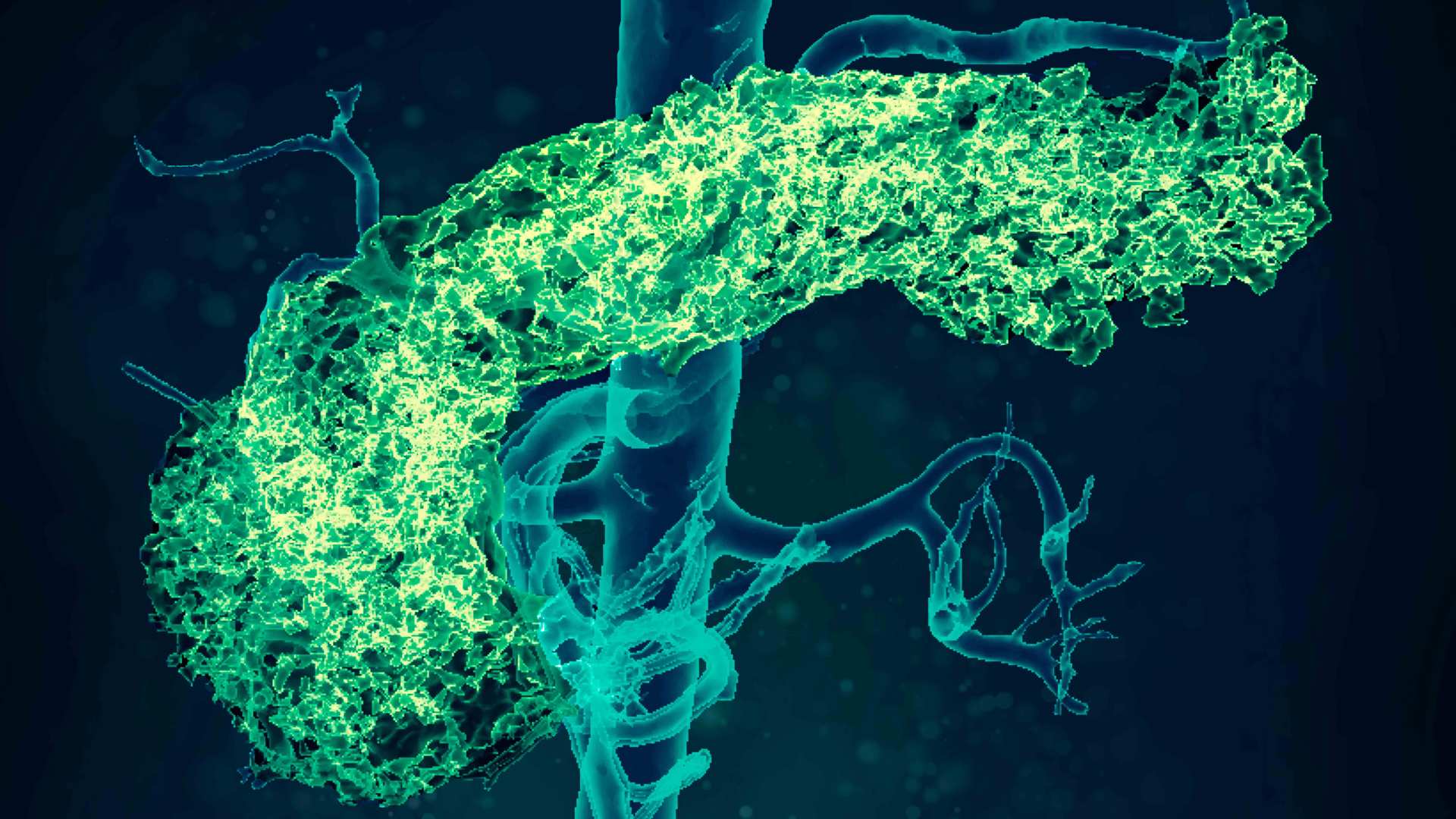 Our work in diabetes