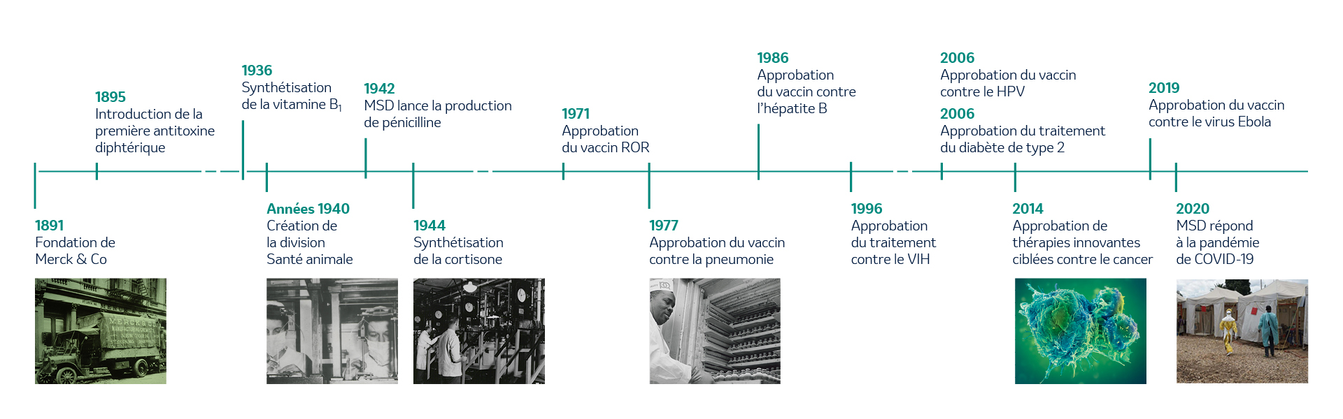 Chronologie MSD