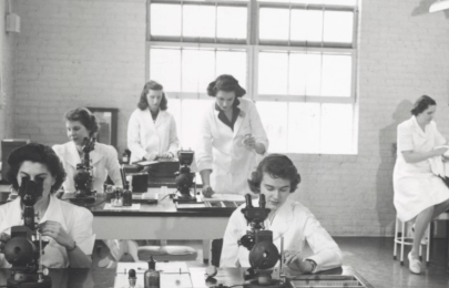 Femmes chez MSD