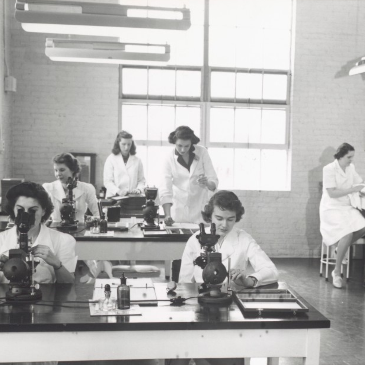 Femmes chez MSD