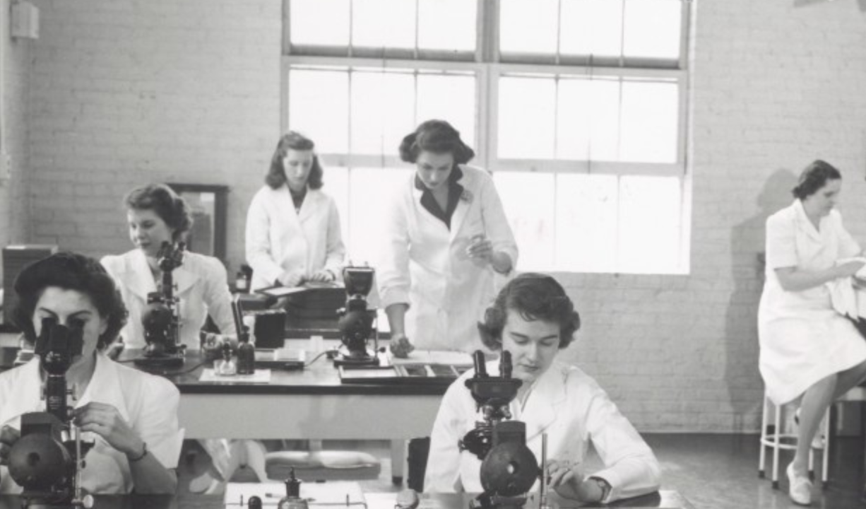 Femmes chez MSD
