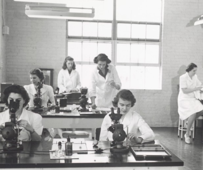 Femmes chez MSD