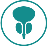 Icône: Cancer de la prostate