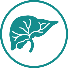 Icône : cancer de la vésicule biliaire et cancer des voies biliaires